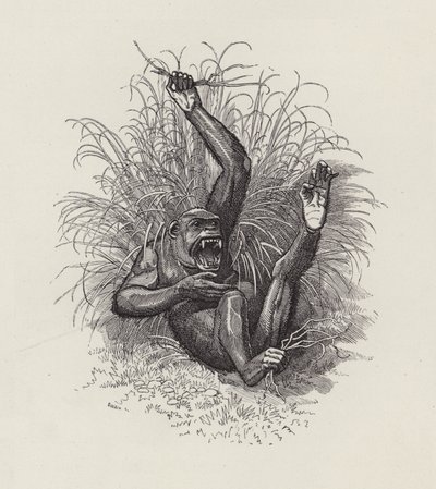 Illustration for The Water-Babies by Charles Kingsley by Edward Linley (after) Sambourne