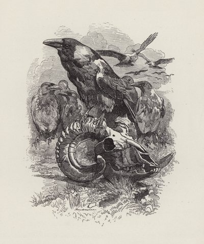 Illustration for The Water-Babies by Charles Kingsley by Edward Linley (after) Sambourne