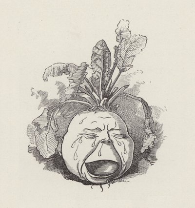 Illustration for The Water-Babies by Charles Kingsley by Edward Linley (after) Sambourne