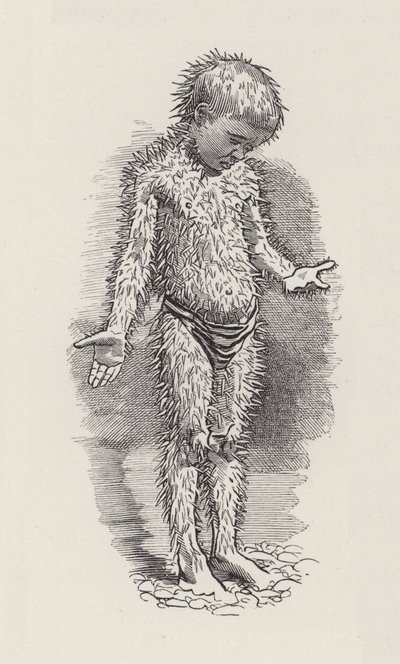 Illustration for The Water-Babies by Charles Kingsley by Edward Linley (after) Sambourne
