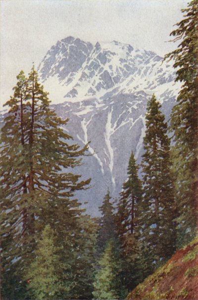 Kotwal from the Forest Above Kangan, Sind Valley by Edward Mary Joseph Molyneux