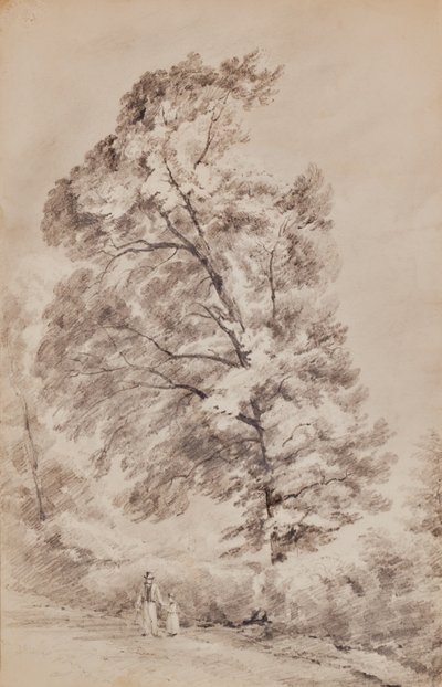 Landscape with trees by Edward Pretty
