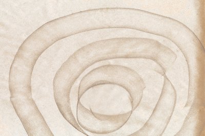 Fluid Organic Curves by Edward Selkirk