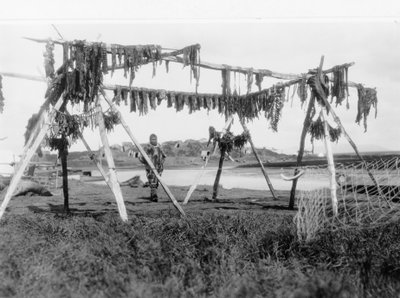 An Eskimo man standing under a structure with whale meat hanging to dry, c.1929 by Edward Sheriff Curtis