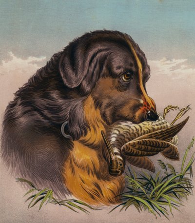 The Retriever by Edwin (after) Landseer