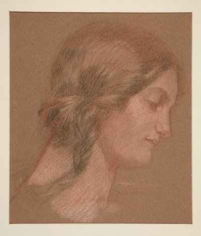 Portrait of a Woman in Profile by Edwin Austin Abbey