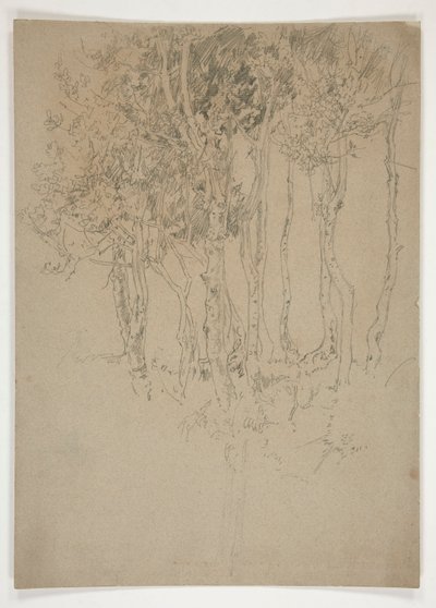 Sketch of a Grove of Trees by Edwin Austin Abbey
