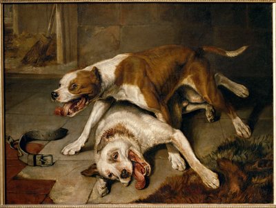 Fighting Dogs Pausing for Breath by Edwin Landseer
