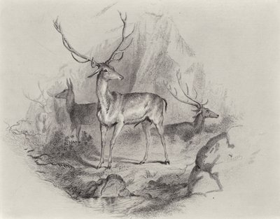 In the Glen by Edwin Landseer
