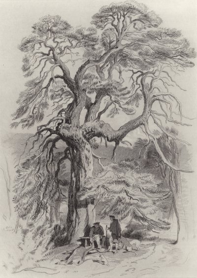 Under the Old Fir Tree by Edwin Landseer