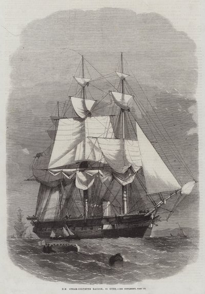 HM Steam-Corvette Racoon, 22 Guns by Edwin Weedon