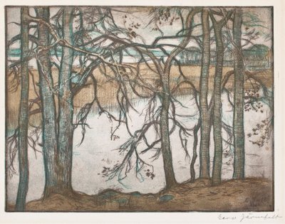 Lake Shore with Reeds by Eero Järnefelt
