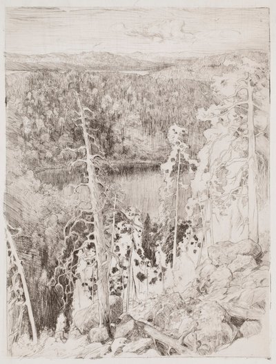 Landscape from Koli; Forest Landscape from Räsävaara by Eero Järnefelt