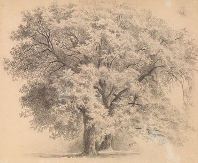 Untitled by Eero Järnefelt