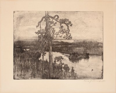 Untitled by Eero Järnefelt