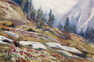 Switzerland by Effie Jardine