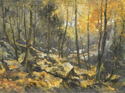 Felsenmeer by Egbert Schaap
