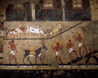 Egyptian Antiquity: The Transport of Wheat on the Back of Mules and on the Back of Slaves. Fresco of the Tomb of Queen Neferou III. 12th Dynasty. 2200-2000 BC. From El Ghebelen. Turin, Egyptian Museum by Egyptian 12th Dynasty