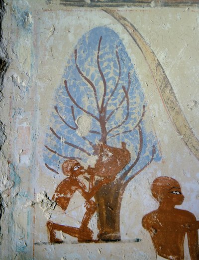 A Peasant Drinks from a Waterskin by Egyptian 18th Dynasty