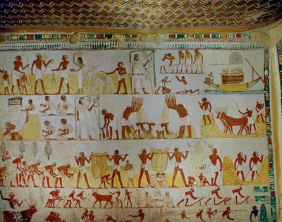 Agricultural scene by Egyptian 18th Dynasty