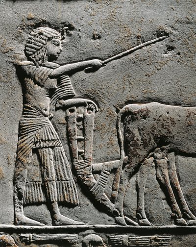 Horemheb ploughing land in the Fields of Iaru, relief from the tomb of Horemheb at Saqqara (detail) by Egyptian 18th Dynasty