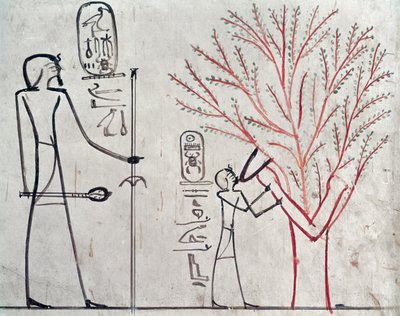 Isis Metamorphosed into a Sycamore Tree Suckling Tuthmosis III by Egyptian 18th Dynasty