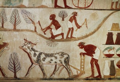Labours of the Field by Egyptian 18th Dynasty