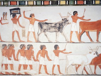 Shepherds and cattle, fresco, south wall, longitudinal chamber, Theban Tomb TT69, Sheikh Abd el-Qurna, Thebes by Egyptian 18th Dynasty