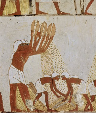 Winnowing by Egyptian 18th Dynasty