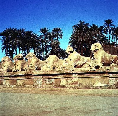 Avenue of ram-headed sphinxes lining the Processional Way to the Great Temple of Amun by Egyptian 19th Dynasty