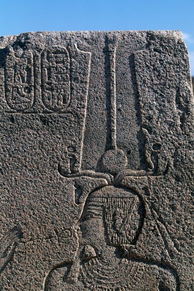 Block with Reliefs and Inscriptions of Rameses II, Great Temple of Amun, Tanis, Egypt, Egyptian Civilization, New Kingdom, Dynasty XIX by Egyptian 19th Dynasty