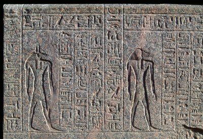 Depiction of Anubis (detail) by Egyptian 19th Dynasty