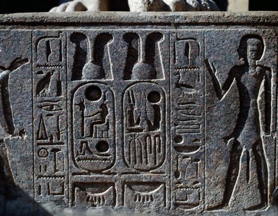 Hieroglyphics (detail) by Egyptian 19th Dynasty