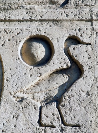 Relief depicting goose and sun, symbols of Pharaoh to identify son of God Ra by Egyptian 19th Dynasty