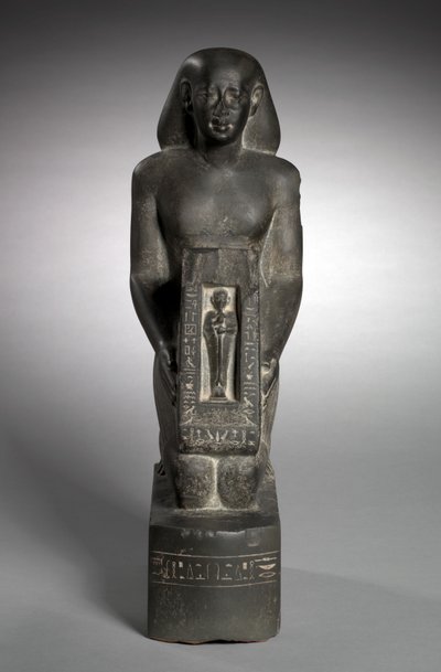 Naophorous Statue of the Finance Officer and Overseer of Fields, Horwedja by Egyptian 27th Dynasty
