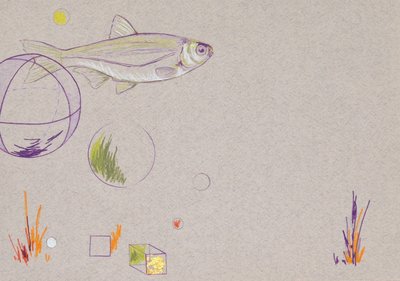 Floating, 2014 by Eleanor Grafton