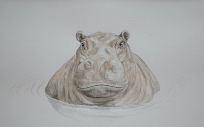Hippo, 2021 by Eleanor Grafton