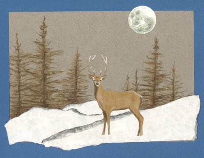 Night Encounter, 2012 by Eleanor Grafton