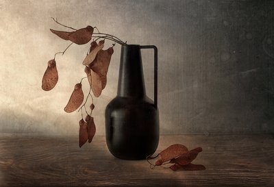Black Vase Dried Pods by Elena Arjona