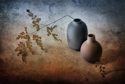 Delicate Fern And Vases by Elena Arjona