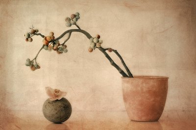 Earthy Berries and Orchid by Elena Arjona