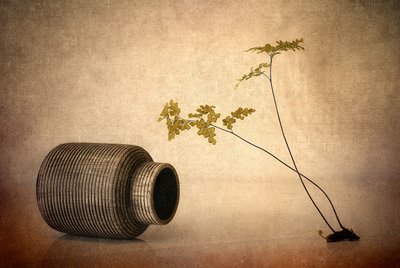 Earthy Vase and Fern by Elena Arjona