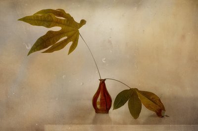 Golden Leaf Still Life by Elena Arjona