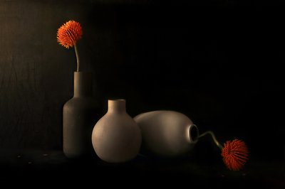 Orange Bloom Still Life by Elena Arjona