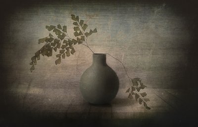Quiet Fern Still Life by Elena Arjona