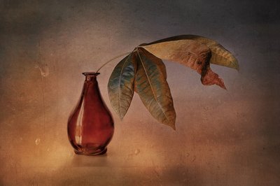 Red Vase Autumn Leaves by Elena Arjona
