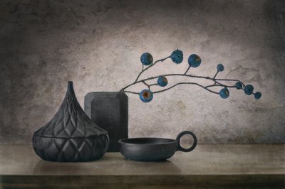 Rustic Blue Berries by Elena Arjona