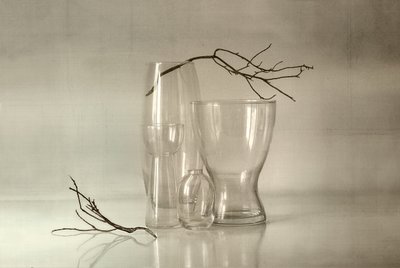 Serene Glass Still Life by Elena Arjona