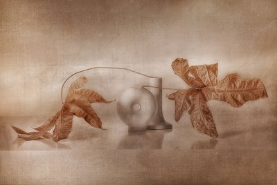 Vintage Autumn Reflection by Elena Arjona