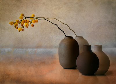 Yellow Mimosa Vases by Elena Arjona